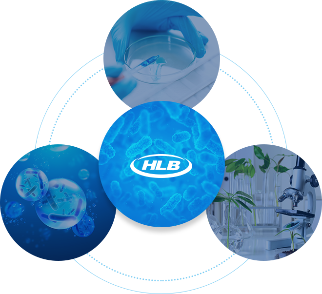 Introduce the affiliates.